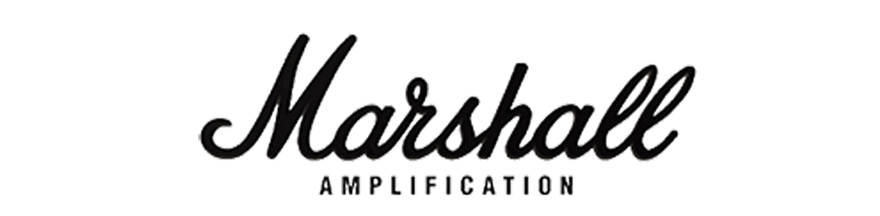 Marshall Amplifier repair service
